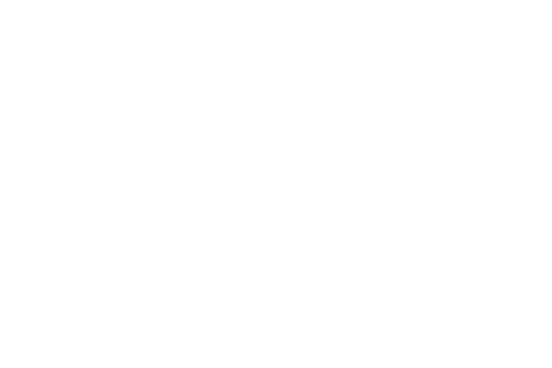 Pioneer Foods